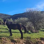 Frühstückspension Profumo Di Calicanto 3*