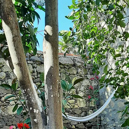 Profumo Di Calicanto Frühstückspension Tresnuraghes