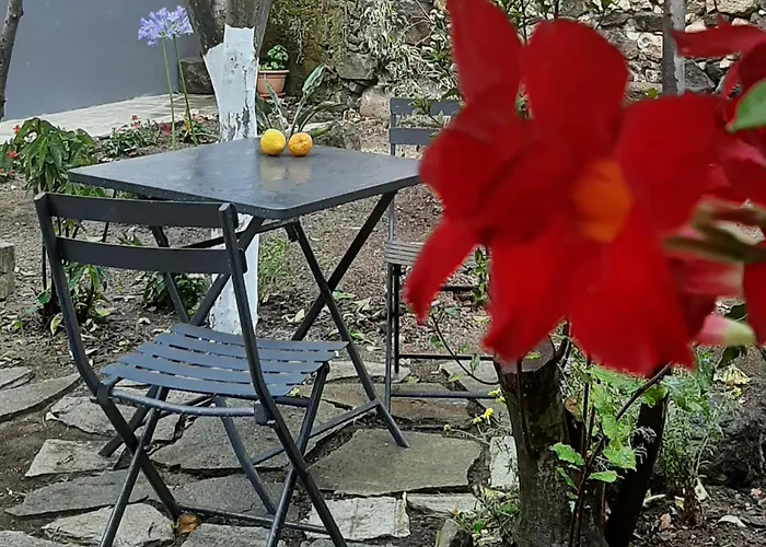 Profumo Di Calicanto