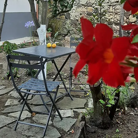 Profumo Di Calicanto
