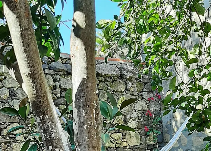 Profumo Di Calicanto Bed & Breakfast Tresnuraghes